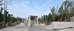 沙坪坝区文化地标托起沉庆“科教文卫核心”永